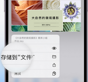 周至apple维修中心分享iPhone文件应用中存储和找到下载文件