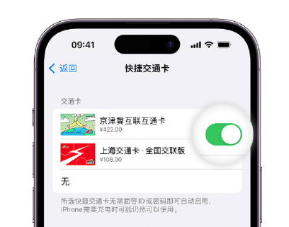 周至apple维修点分享iPhone上更换Apple Pay快捷交通卡手绘卡面 