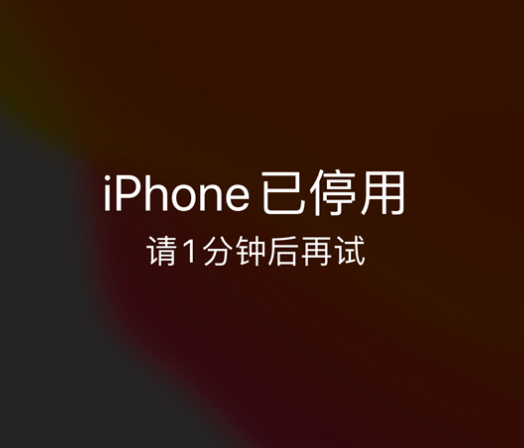 周至苹果手机维修分享:iPhone 显示“不可用”或“已停用”怎么办？还能保留数据吗？ 