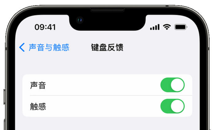 周至苹果手机维修分享iPhone 14触感键盘使用方法 