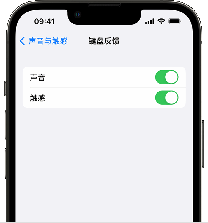 周至苹果14维修店分享如何在 iPhone 14 机型中使用触感键盘 