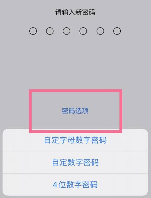 周至苹果14维修分享iPhone 14plus设置密码的方法 