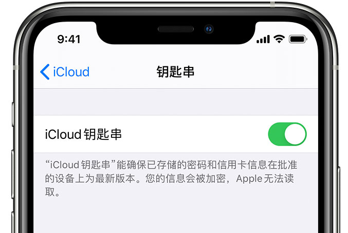 周至苹果手机维修分享在 iPhone 上开启 iCloud 钥匙串之后会储存哪些信息 