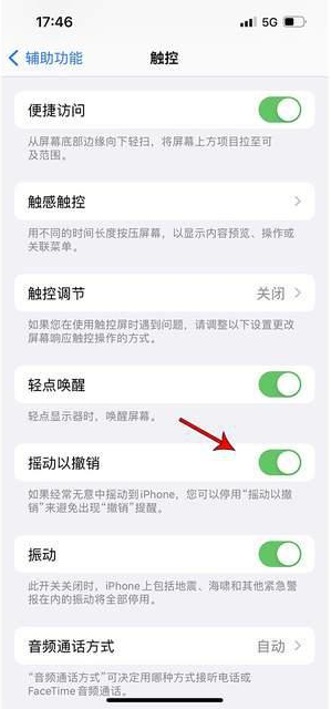 周至苹果手机维修分享iPhone手机如何设置摇一摇删除文字 